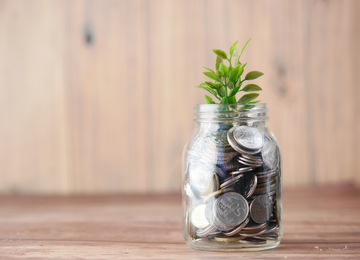 Coins in jar with growing plant